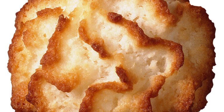 Lemon Coconut Macaroons